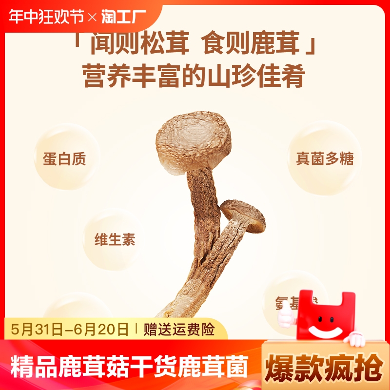 精品鹿茸菇干货鹿茸菌500g包邮古田脆脆菇新鲜特级煲汤食材香菇