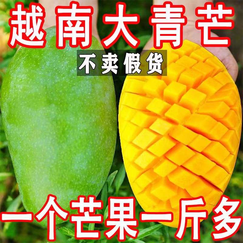 9斤装 越南大青芒水果芒果新鲜生鲜应季青芒果
