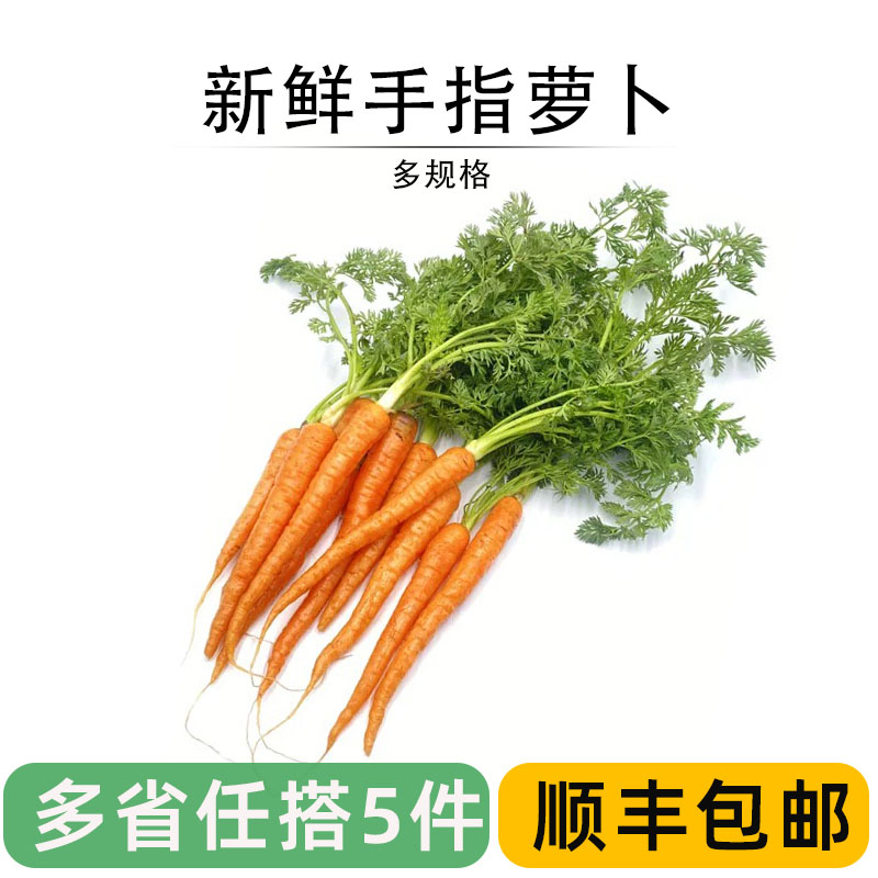 手指萝卜新鲜胡萝卜带叶迷你小红萝卜 西餐健身沙拉食材摆盘蔬菜