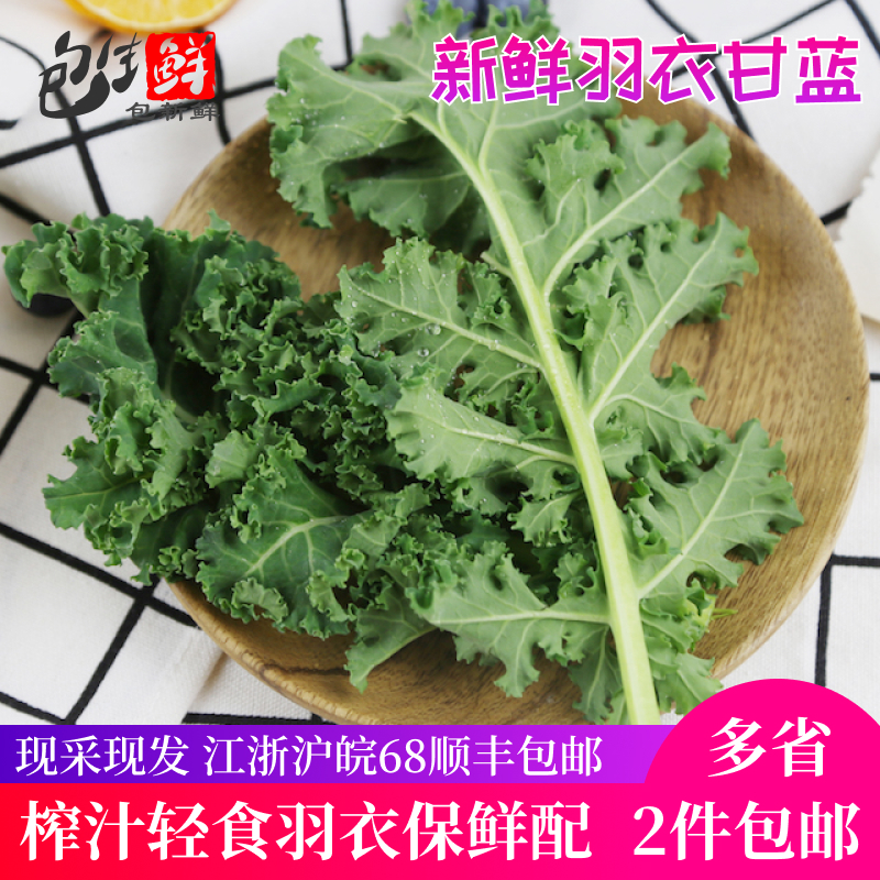 羽衣甘蓝500g 叶杜丹绿叶花包菜Kale新鲜沙拉菜