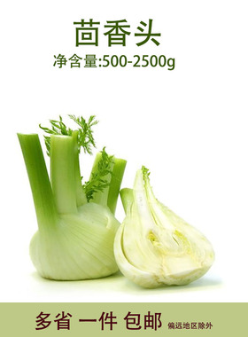 新鲜茴香头 西餐配菜 新鲜香料 茴香头 fennel 500g---2500g