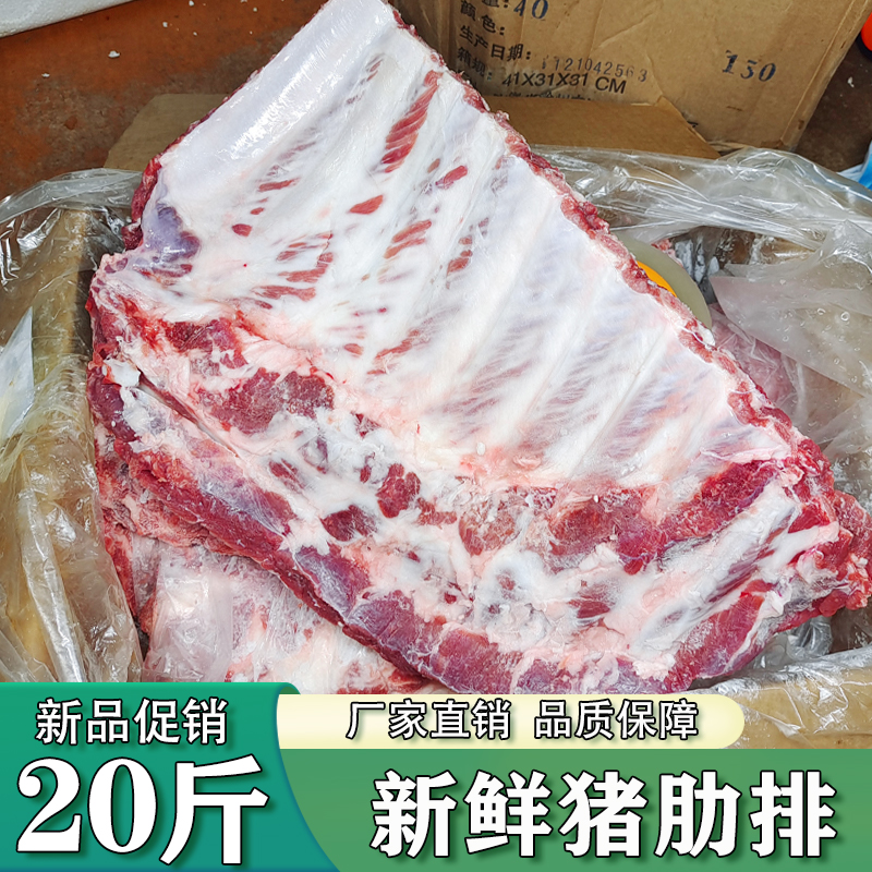 猪肋排猪排骨新鲜冷冻猪仔排猪小排 20斤 排骨 生猪肉商用食材