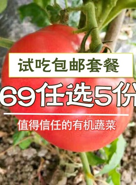 【继红有机农场】有机蔬菜套餐试吃3.5斤时令生鲜新鲜当季食材