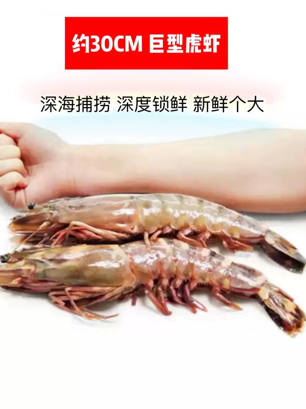 特大黑虎虾活冻新鲜水产海捕深海大虾巨型老虎虾4只/盒礼品虎虾