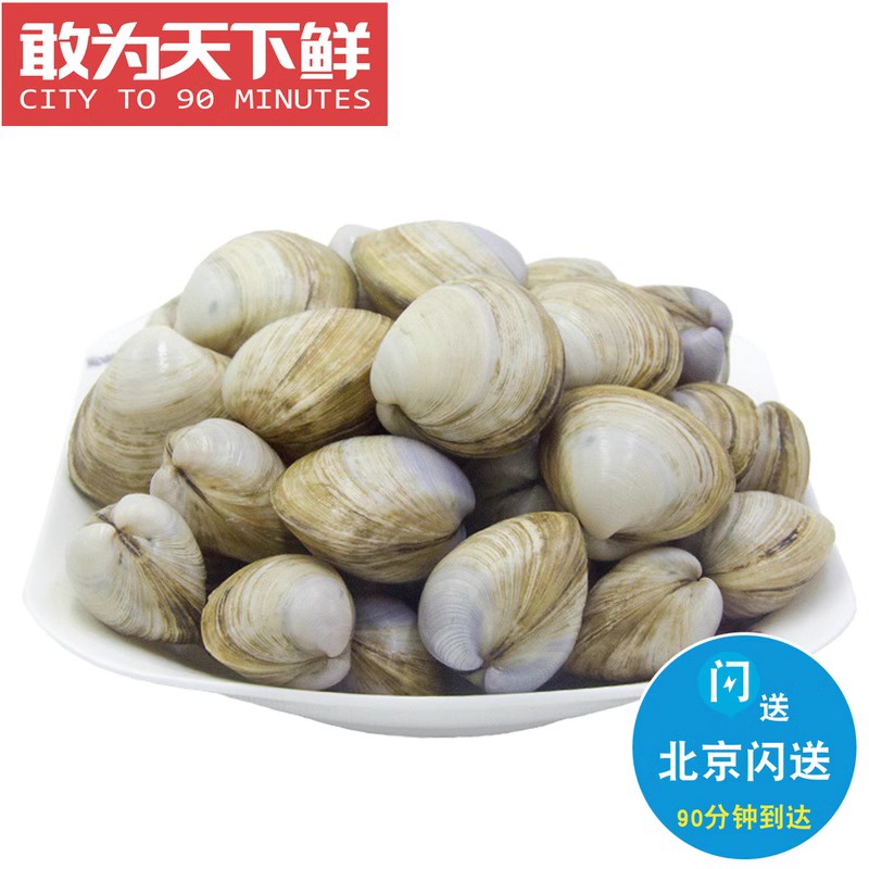 500g 北京闪送 鲜活白蛤 海鲜水产鲜活贝类 蛤蜊 白蚬子