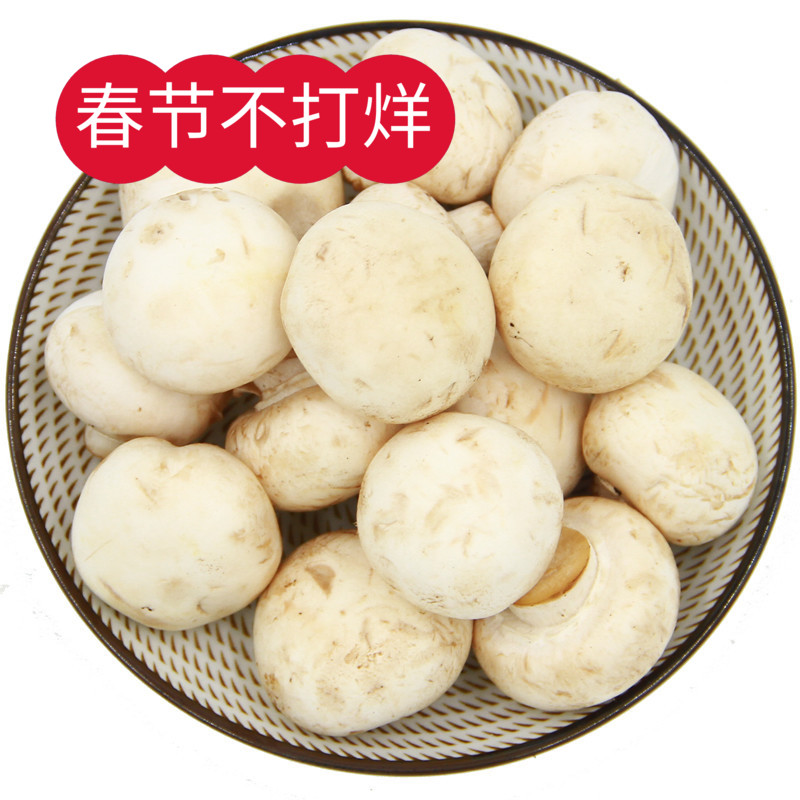 口蘑  火锅涮菜 新鲜蔬菜500g