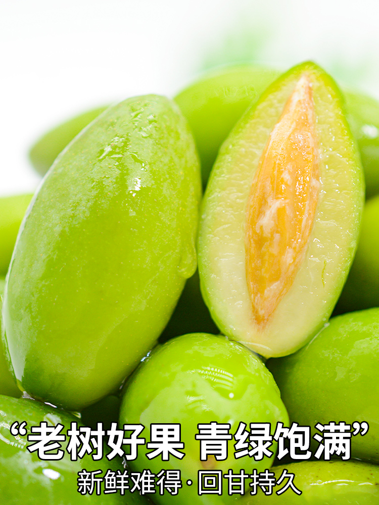 【顺丰速达】特级纯甜橄榄3斤新鲜青橄榄果生吃煲汤甘甜福建水果2