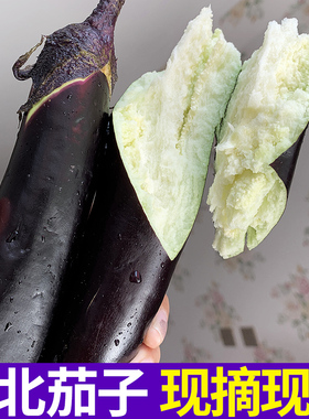 东北茄子新鲜 蔬菜黑紫长线茄子蒜茄子材料现摘开锅烂多省包邮