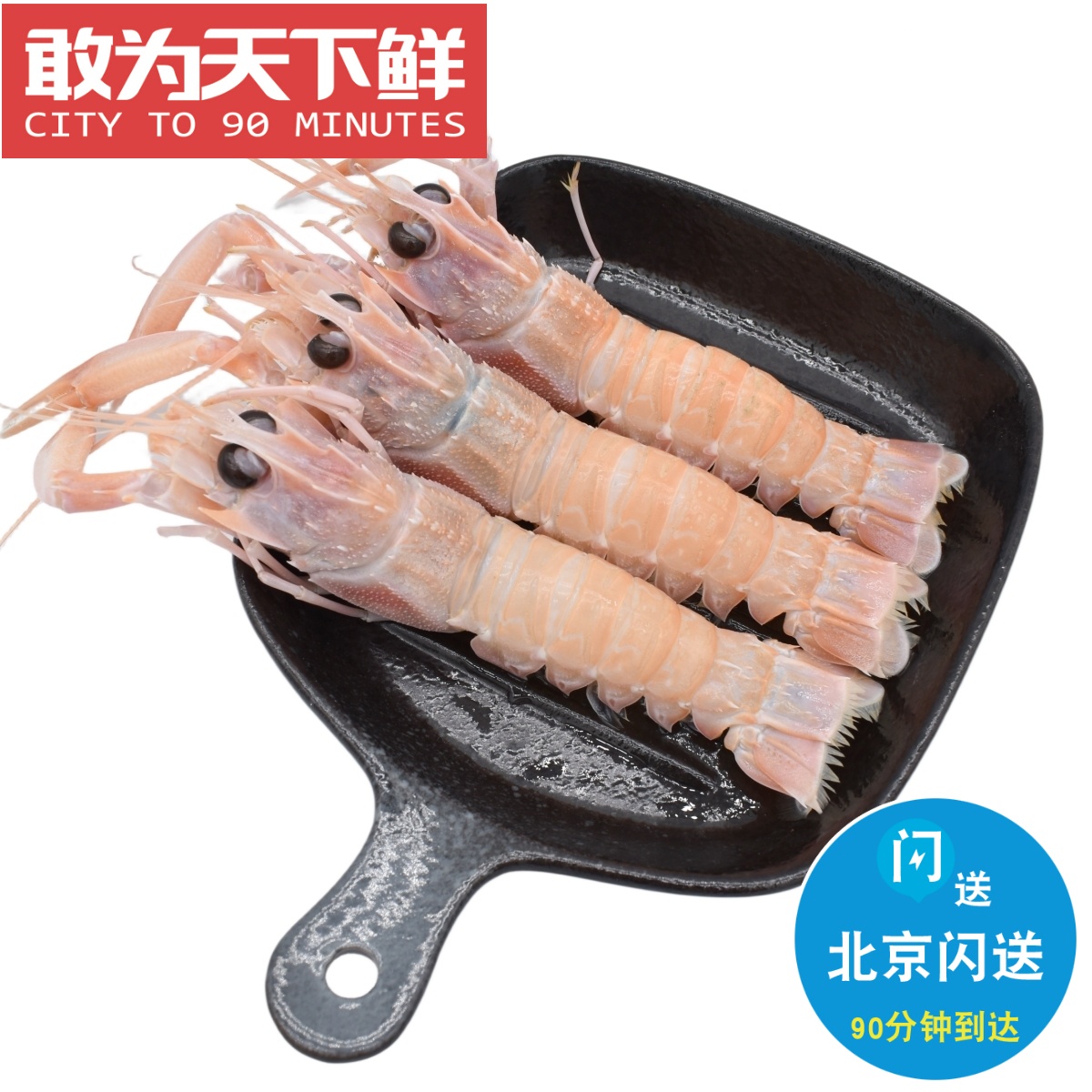 1kg 北京闪送 澳大利亚 鳌虾 刺身 scampi斯干比 深海小龙虾 海鲜