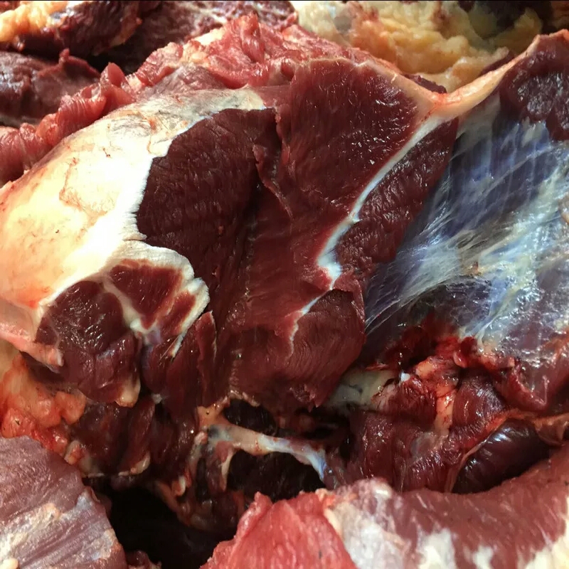 新鲜牦牛肉牛健子肉新鲜牦牛肉高原散养现杀生鲜牛腱子肉生牛肉