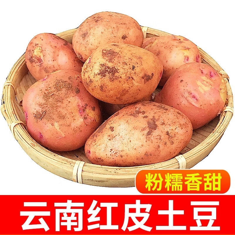 云南新鲜现挖红皮黄心粉糯土豆整箱10/5斤现挖马铃薯洋芋红皮土豆