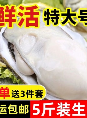 生蚝鲜活特大新鲜海捕牡蛎即食生吃超大海蛎子包活5斤装带箱顺丰