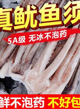 新鲜鱿鱼须生鲜尤鱼头鲜活冷冻章鱼足八爪腿铁板鱿鱼商用海鲜水产