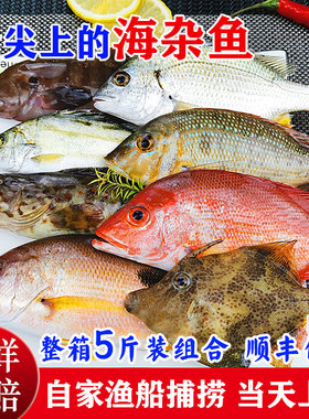 湛江海鲜杂鱼 鲜活杂鱼仔新鲜现捞海鱼生鲜水产海杂鱼5斤组合少刺