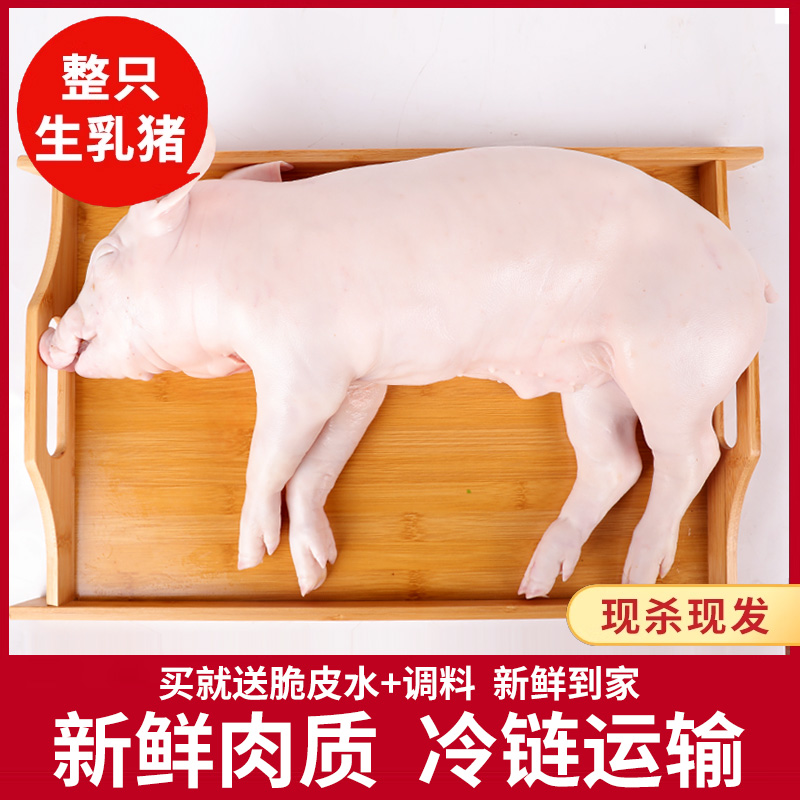 乳猪整只新鲜冷冻现杀食用生鲜小耳朵3到40斤小香猪脆皮烤乳猪酒
