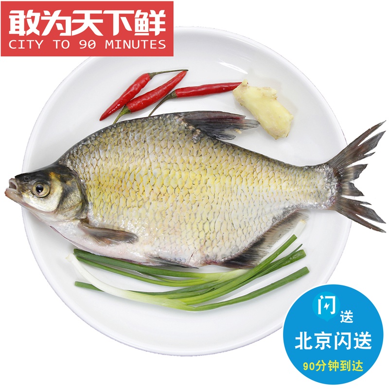 1.5-1.6斤/条 北京闪送 新鲜 鲜活鳊鱼武昌鱼淡水鱼 水产 可清理