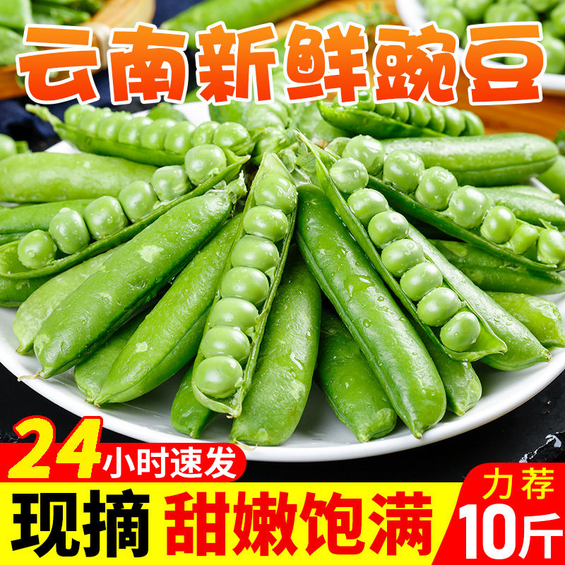 2023年云南本地现摘水果甜豌豆10斤新鲜生豌豆粒带壳嫩青豆5甜豆