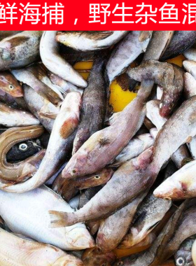 海鲜新鲜杂鱼生鲜水产多品种海鱼混搭 3斤装（随机发货）直播称重