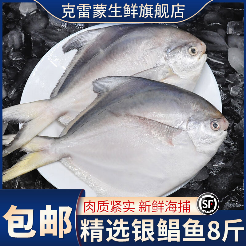 8斤银鲳鱼白鲳鱼大号鲳鱼海捕鲜活整箱批发海鱼平鱼冷冻水产顺丰
