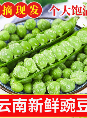 云南新鲜豌豆5斤装应当季青豆带壳生鲜蔬菜甜豌豆粒农家整箱包邮