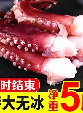 冷冻章鱼足脆口超大生鲜鱿鱼须八爪鱼海鲜水产章鱼足麻辣即食鲜活
