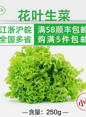 新鲜蔬菜 花叶生菜 绿萝莎 西餐配料 蔬菜沙拉250g