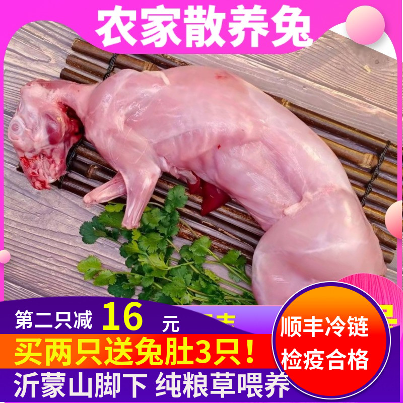 【顺丰包邮】新鲜兔肉大号现杀冷冻生兔肉生鲜食用烧烤食材一只装