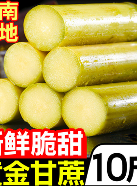云南新鲜黄金甘蔗10斤热带水果黄皮甜蔗特产应季当季水果整箱批发