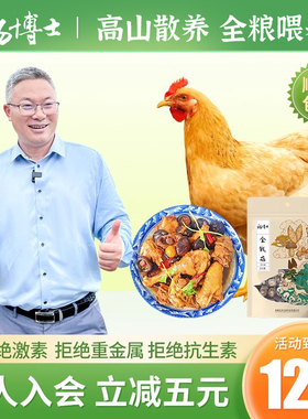 杨博士皖南土鸡高山生态散养全粮喂养仔母鸡现抓现发新鲜整鸡
