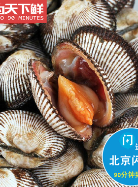 500g 北京闪送 毛蚶 新鲜毛蛤蜊海鲜 贝壳 鲜活水产