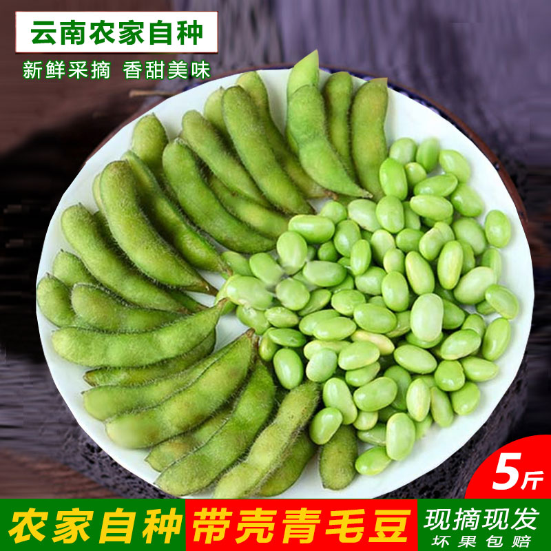 云南新鲜蔬菜带壳毛豆角农家自种青毛豆荚绿毛豆米大青豆黄豆 5斤