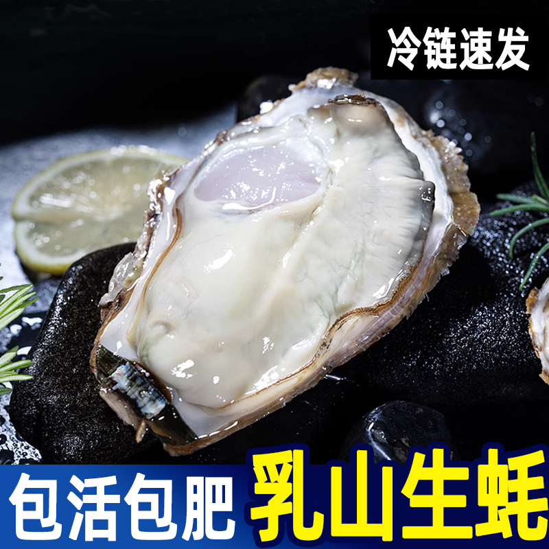 京东 乳山生蚝 鲜活5斤带壳新鲜一级牡蛎海鲜水产特大海蛎子一箱