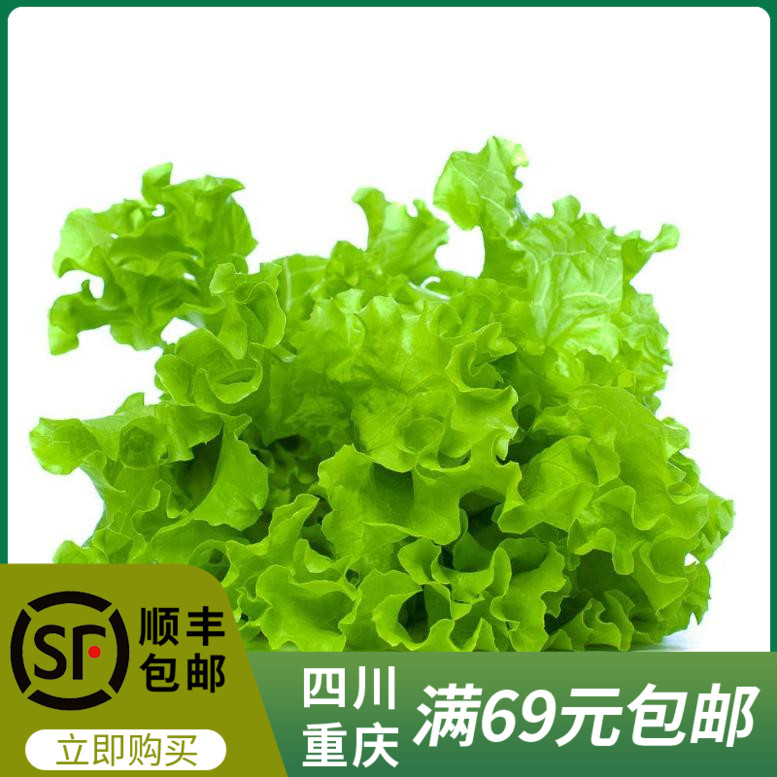 新鲜沙拉蔬菜绿珊瑚萝沙绿轻食健身食材500g重庆四川满69顺丰包邮