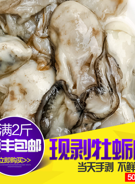 青岛海鲜水产鲜活生蚝肉牡蛎肉当天捕捞现剥新鲜生蚝海蛎子肉500g