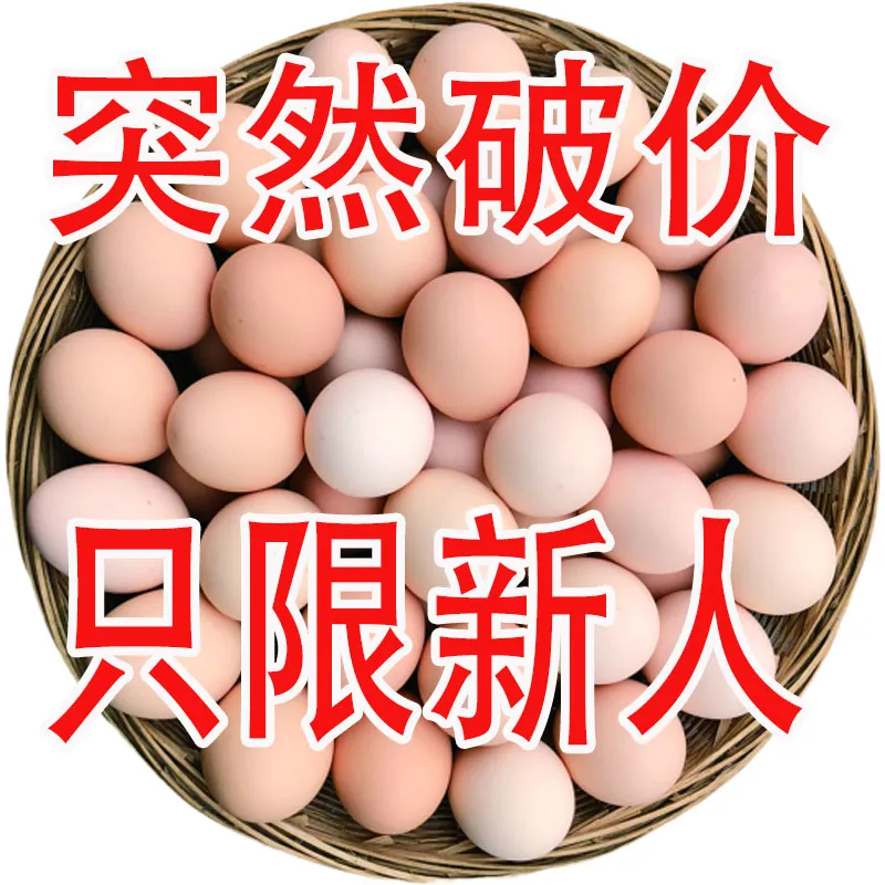 【大降价】正宗农家散养土鸡蛋大个鸡蛋柴鸡蛋新鲜营养现捡批发