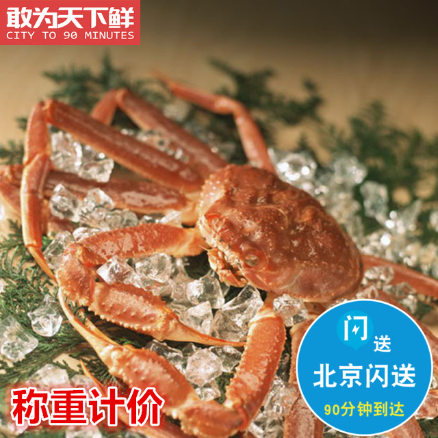 1.5-3斤1只 鲜活板蟹 长脚蟹 松叶蟹 雪蟹 海鲜 水产 俄罗斯