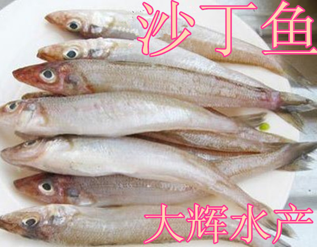 新鲜海鱼沙丁鱼新鲜鲜海鱼沙丁鱼鲜生鲜海捕海鲜新鲜3斤包邮