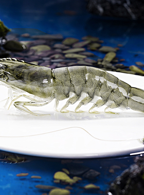 厄瓜多尔大虾鲜活冷冻速冻生鲜海鲜水产盐冻白虾新鲜3040超大冻虾