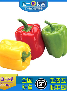 老一特卖 新鲜红黄绿彩椒 甜椒圆椒柿子椒灯笼椒 3只装/约550g