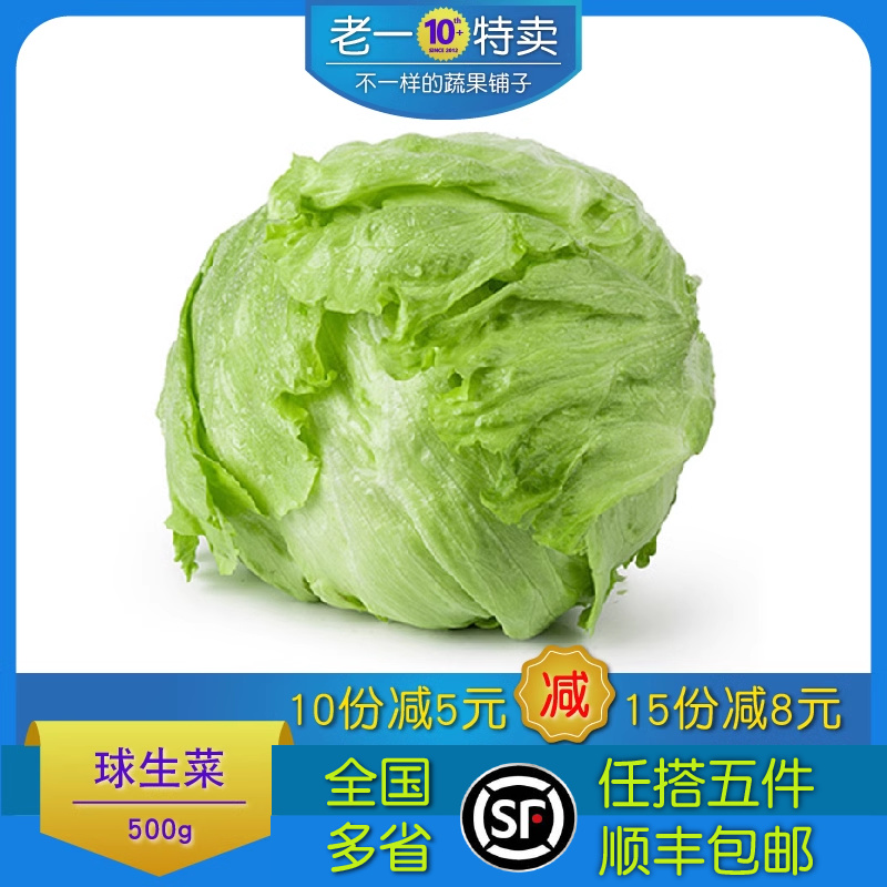 老一特卖 新鲜球生菜 汉堡圆生菜 沙拉蔬菜 西生菜 500g
