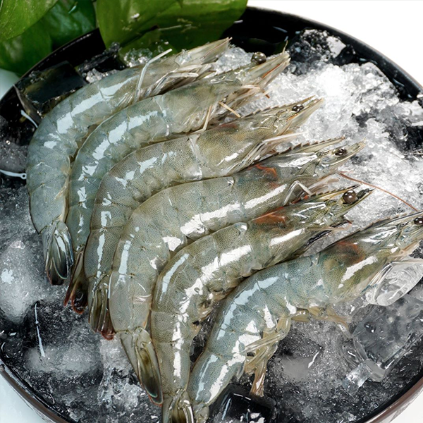 瑟兰王南美虾鲜活速冻5060大虾4斤/盒（净重3.3斤）2025年1月到期