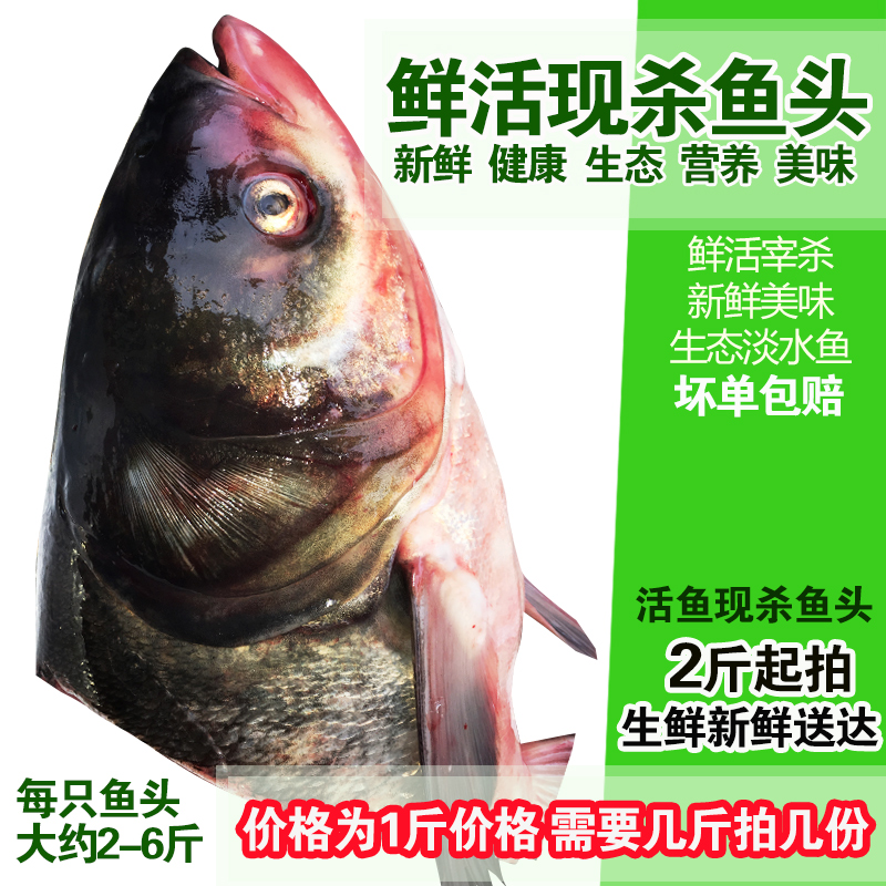 淡水鱼生态鳙鱼头胖头鱼花鲢鱼头新鲜活鱼现杀大鱼头500g生鲜水产
