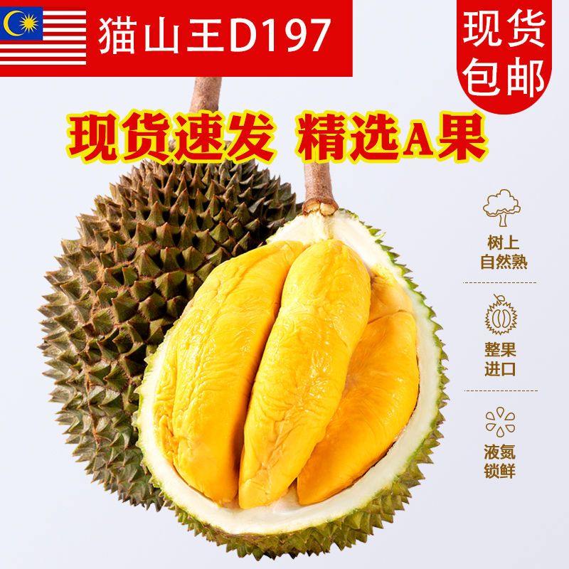 顺丰包邮马来西亚猫山王榴莲D197树熟爆甜液氮冷冻带壳整个1-6斤