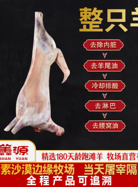 宁羴源宁夏滩羊整只16/30斤手抓羊肉肋排前腿烤全羊新鲜生羊肉