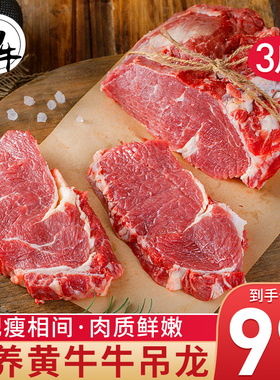 黄牛吊龙牛肉3斤嫩牛肉潮汕牛肉火锅食材生鲜散养黄牛肉