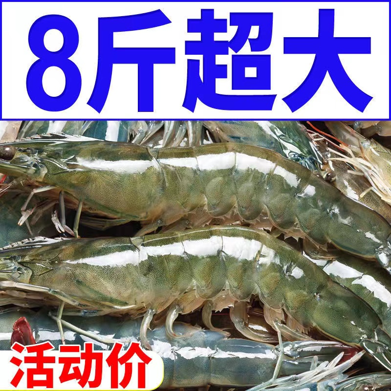 新鲜大虾鲜活超大基围虾对虾海虾特大青虾速冻海鲜水产冷冻鲜虾类