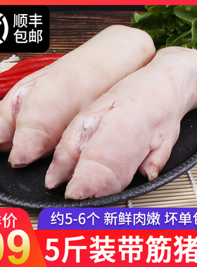 新鲜冷冻带筋猪蹄短猪脚约5个猪爪5斤生鲜猪蹄烧烤家用多省包邮