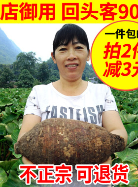 【偏小】正宗广西特产荔浦芋头 新鲜槟榔芋香芋生鲜蔬菜5斤小