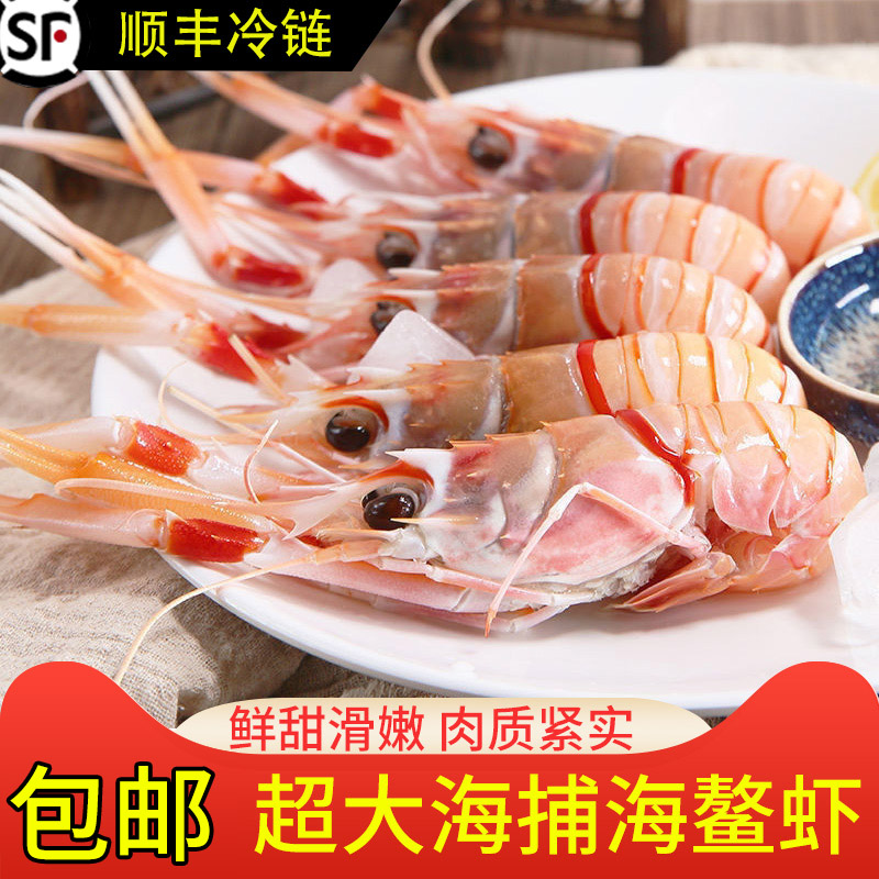 【顺丰速运】超大海鳌虾深海虾新鲜铁甲虾速冻日料刺身生鲜