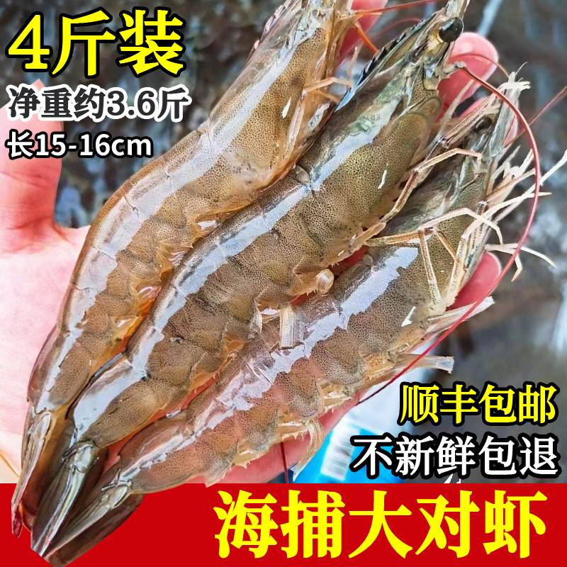 4斤盒装海捕大对虾白虾新鲜海虾活速冻新鲜虾青虾包顺丰约55个